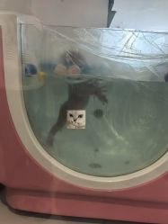 -敦南真爱月子会所(黄埔店)