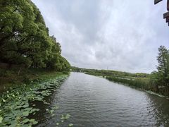 -同里国家湿地公园