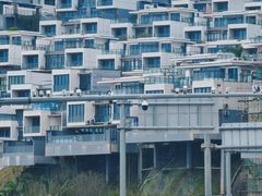 -广东惠东海龟国家级自然保护区