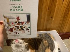 -隅cafe(傅厚岗店)