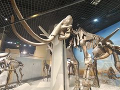 -国家自然博物馆