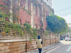 -溪岸路花鸟市场