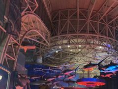 -烟台海昌鲸鲨海洋公园