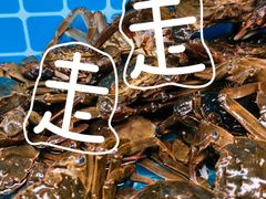 -蓝珊甄选海鲜自助·火锅大排档(近阿那亚店)