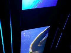 -海洋公园海洋列车－海滨站