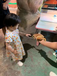 -酷嗒动物文化乐园(cutezoo西溪乐天城店)