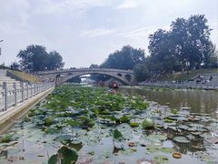 -赵州桥景区