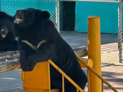 -西霞口神雕山野生动物世界