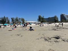 -北海金海湾红树林生态旅游区