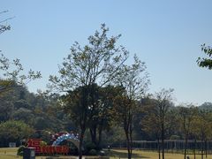 -野狸岛