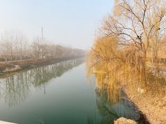 -东郊湿地公园