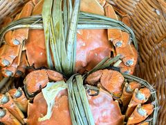 -蟹村草堂·苏式园林人文农家·大闸蟹