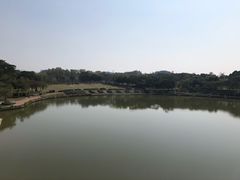 -东莞植物园