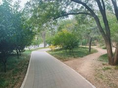 -元大都城垣遗址公园