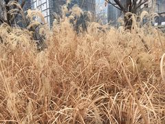 -众口斋锅贴(银泰城店)