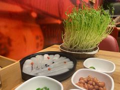 -好彩猪肚鸡(正弘城店)