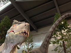 -湖南省地质博物馆