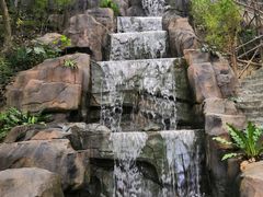 -广州市流溪河国家森林公园