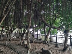 -胡里山炮台