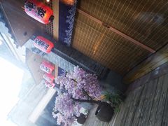 -虎焱炭火烧肉