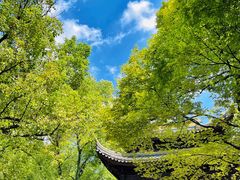 -西园戒幢律寺