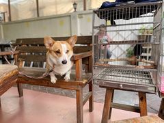 -茶米人台湾料理·精致快简餐