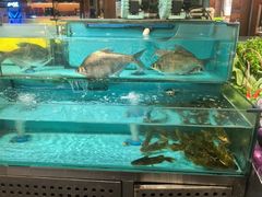 -钵家大院·地道湖北菜(江夏·大花岭店)