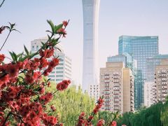 景点-团结湖公园