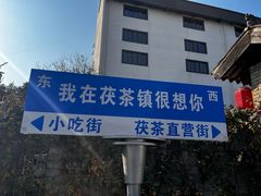 -茯茶镇