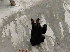 -哈尔滨北方森林动物园