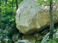 -大岭沟猕猴桃谷风景区