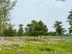 -汉长安城未央宫国家考古遗址公园