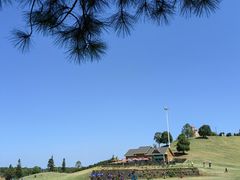 -衢州飞鸿滑草场