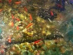 -水晶之星洗浴温泉汗蒸