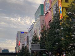 -秋叶原电器街