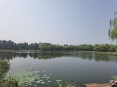 -北坞公园