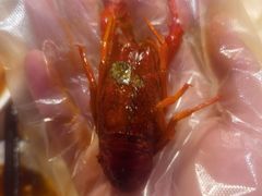 -文和友老长沙龙虾馆(化龙池店)