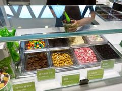 -Salud撒露欧洲冻酸奶(北苑上品店)