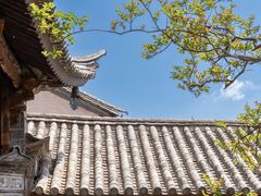-巍山古城