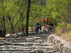 -阳台山自然风景区