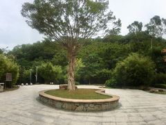 -火炉山森林公园