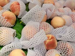 -百果园(板桥路蓝水湾店)