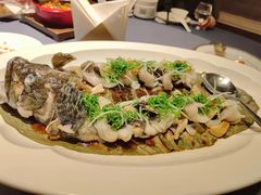 -翠府(翠湖北路店)