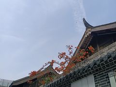 -天府掌柜(九眼桥店)