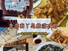 -南丫岛