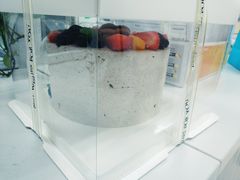 -榴芒先森生日蛋糕甜品台定制(1店诚信大道店)