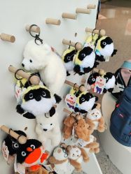 -IMON·HANSA潮玩玩偶毛绒玩具(通州万象汇店)