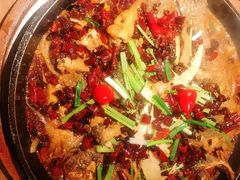 -老板恋上鱼(印象城店)