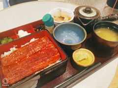 -dodonpa.墩墩伐 便当食堂(博华广场店)