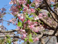 -元大都城垣遗址公园